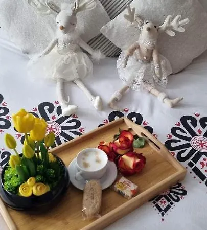 Villa Veronika Lądek-Zdrój Zewnętrze zdjęcie