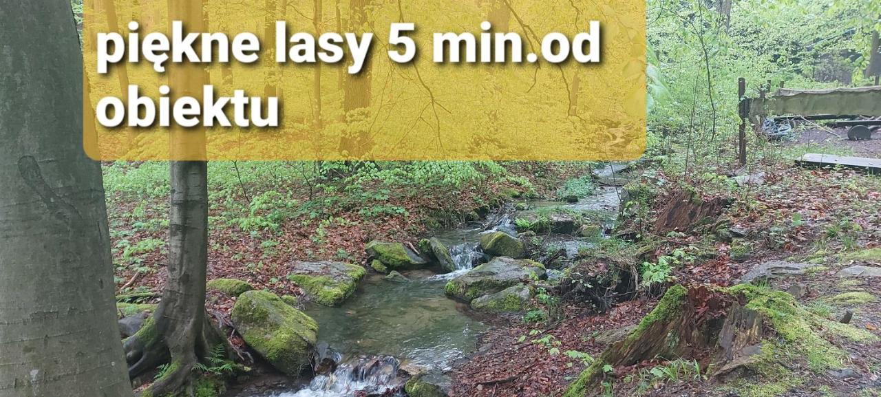 Veronika * Lądek-Zdrój